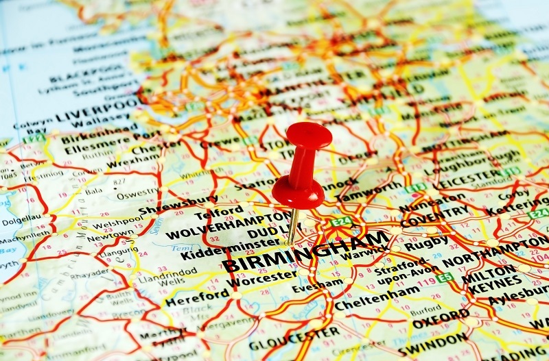 flowers flowers  / fifty flowers