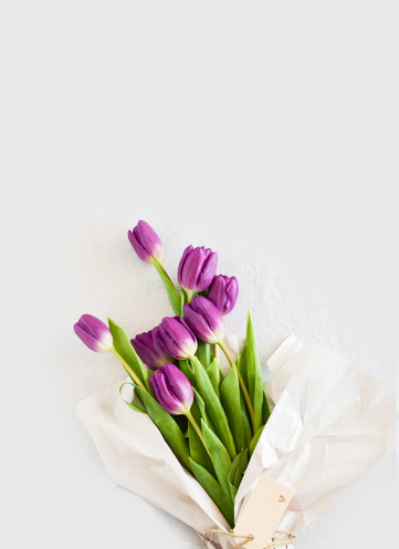 Same day Flowers Muswell Hill 